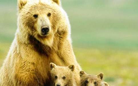 ���ܵĴ�������