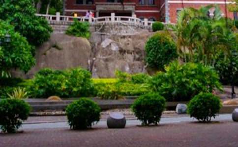 ���ˎZ����600�֣�ͨ��41ƪ��