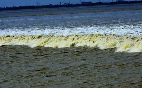 �Č�(xi��)�^(gu��n)������500��