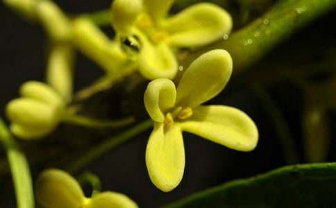 �^(gu��n)��𻨘�(sh��)������