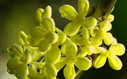 ӛ���еĹ����������