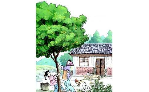 ��������600��