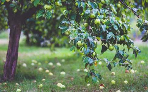 ���ݡ����@�����~�Z(y��)