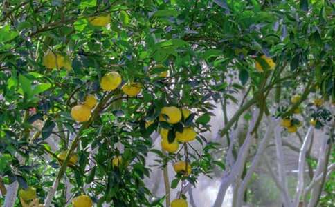 ���@����400�ְ�ƪ