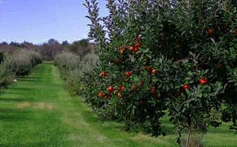 �����Ĺ��@����(����15ƪ)