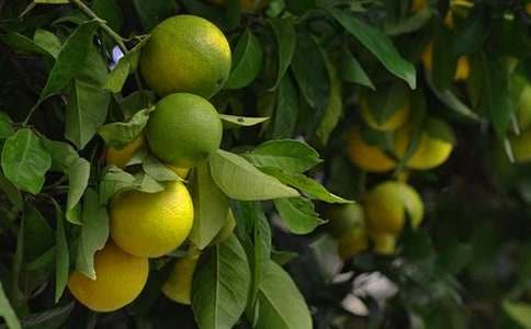 �����@�C���ˡ��̌W(xu��)��˼����