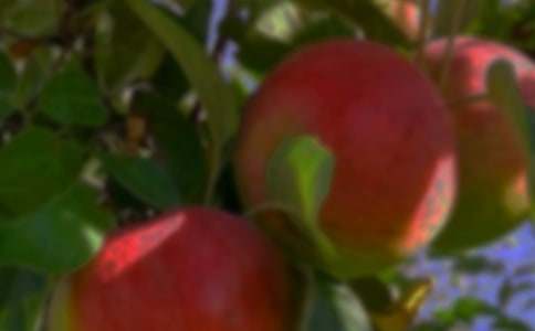 �n�ġ����@�C���ˡ��̰�����