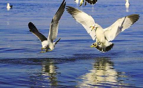 ���t��ʹ����������