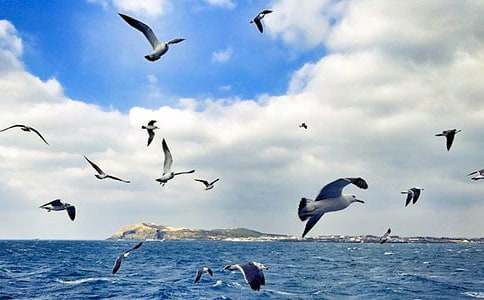 ���t�����ͯԒ(hu��)����