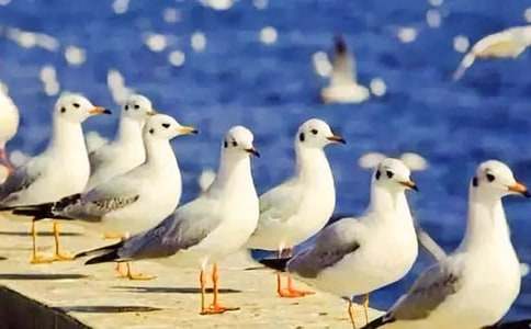 ���t������300�֣����x32ƪ��