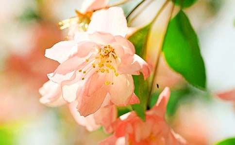 ����һ�꺣�Ļ��_(k��i)�r(sh��)�W(xu��)�����Z(y��)��ͨ��17ƪ��