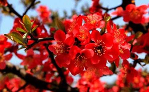 ӛ���еĺ�������