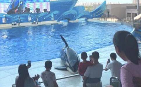 ���󹫈@��ӛ����600��