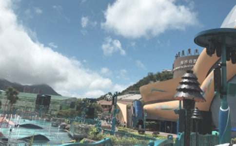 杭州極地海洋公園之旅小學(xué)四年級作文