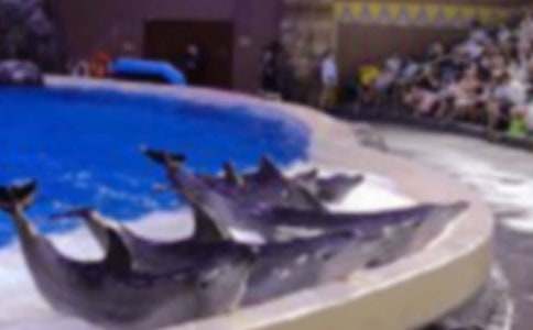 ����С�W(xu��)����450��