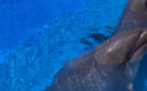 С�W(xu��)���ɐ�(��i)�ĺ�������