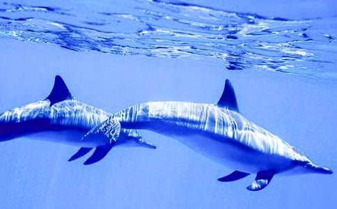 �茑(xi��)���������ķ���3ƪ