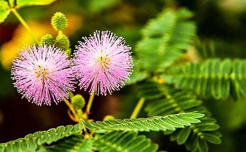 ���߲ݵ��^(gu��n)������