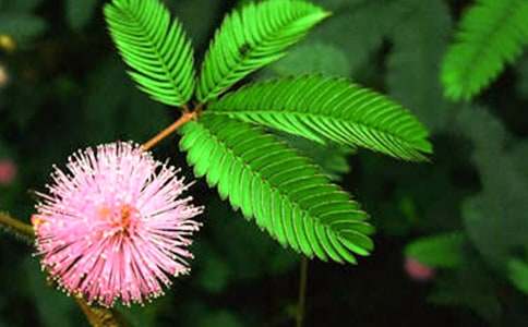 �^(gu��n)�캬�߲����ġ����]��