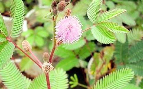 ���߲��^(gu��n)����ӛ400������