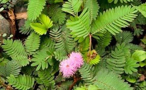 �^(gu��n)�캬�߲ݵĬF������