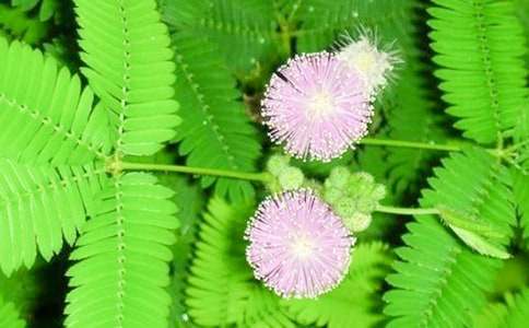 �^(gu��n)�캬�߲ݵČW(xu��)������