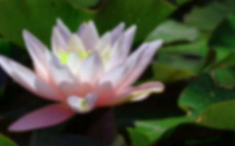 �Ґ�(��i)�ɻ�����700��