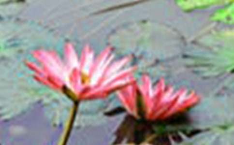 �ɻ������ģ����x59ƪ��