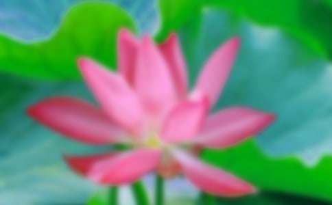 ���ºɻ���ˮ�r(sh��)���꼉����