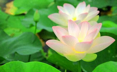 ���ɻ�����һ�n�r(sh��)�̰���(sh��)�