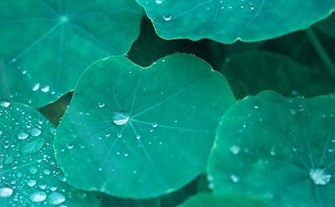 ĸ�H�Ǻ��~����