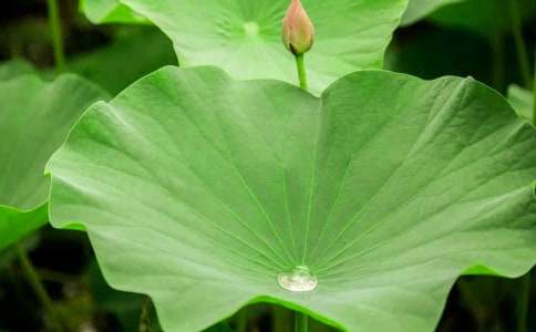 ���P(gu��n)�����~�A�A����һ�n�r(sh��)�̰��̌W(xu��)