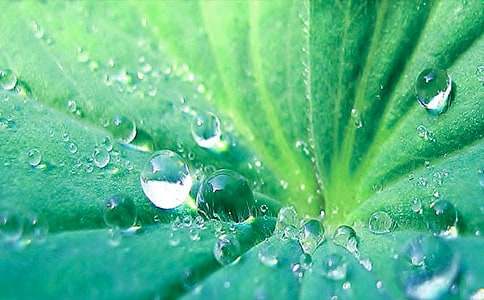 һ�����~�а��Z(y��)�Խ̰�