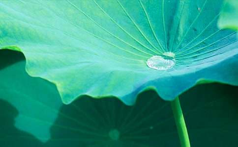 ����ĺ��~ͯԒ(hu��)���ģ�ͨ��11ƪ��