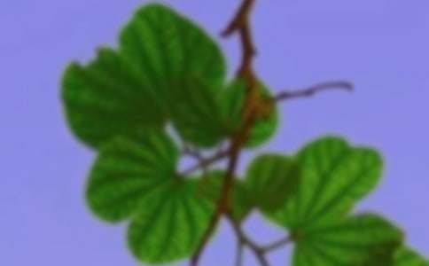 �P(gu��n)���Ժ��C��Ԓ(hu��)�}������