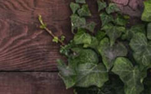 ���C֮�������ڻ�������5ƪ