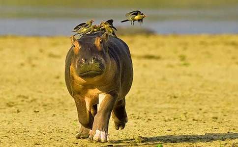 С���R�_(k��i)������