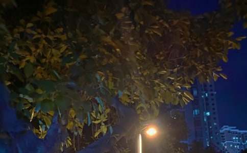 ���º�ҹ֮����������