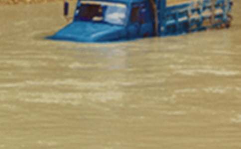 【推薦】洪水作文300字4篇