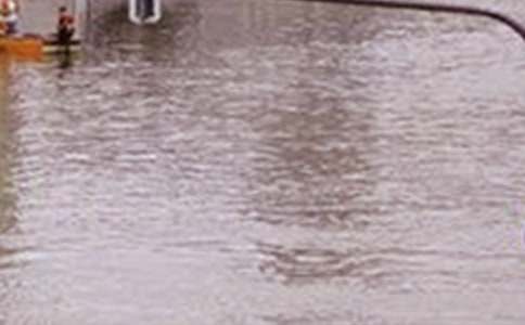 小學(xué)生作文:洪水來(lái)了(精選17篇)