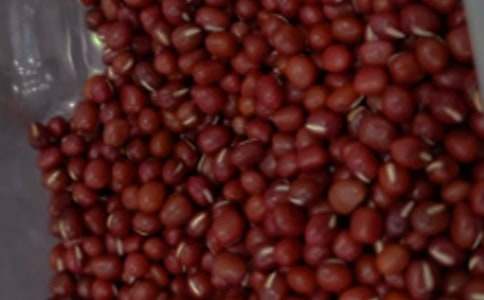 ���x�t������300����ƪ