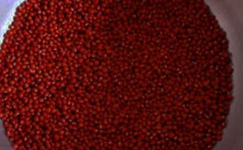 觀(guān)察植物作文600字 紅豆“小康康”成長(cháng)記