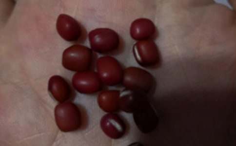 �^(gu��n)��t������