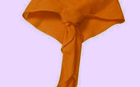 與紅領(lǐng)巾同行的抒情作文