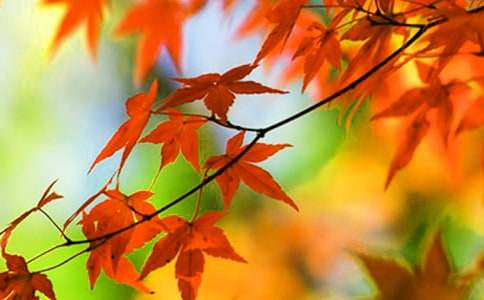 �茑(xi��)��ɽ�t�~������400��