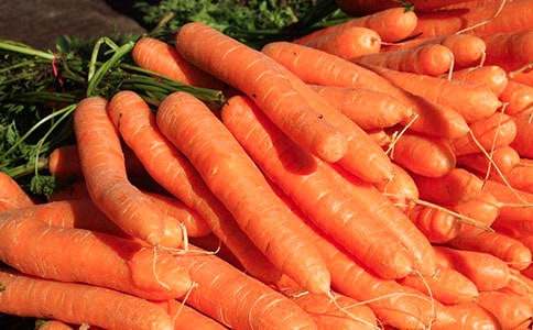 胡蘿卜先生的長(cháng)胡子續寫(xiě)作文(通用61篇)