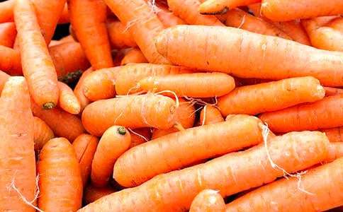 胡蘿卜作文300字6篇