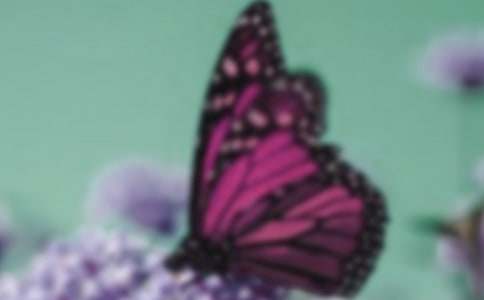 ������׃�������������g(sh��)�̰�