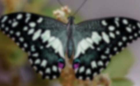 ����������(y��u)��̰���ͨ��7ƪ��