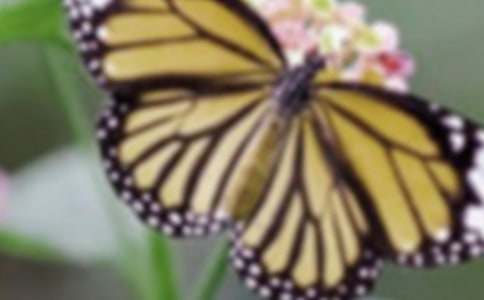 ��׃���˺���С�W(xu��)����